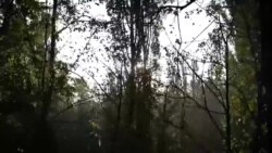 Acto en recordación a las víctimas de la masacre de Babin Yar en el 82 aniversario.  Acto en recordación a las víctimas de la masacre de Babin Yar en el 82 aniversario.