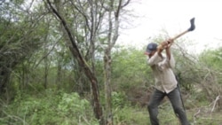 ¿Para qué les quitamos la tierra? ¿Para qué les quitamos la tierra?
