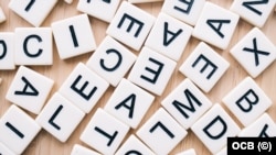 De las más de dos mil palabras que la Real Academia Española ha incorporado en los últimos años, muchas proceden de Cuba.