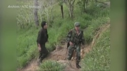 Colombia solicita a Cuba extradición de jefe máximo del ELN Colombia solicita a Cuba extradición de jefe máximo del ELN