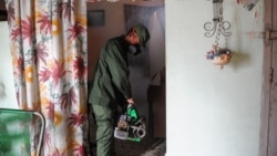 La llegada del verano aumenta la proliferación del mosquito Aedes Aegypti La llegada del verano aumenta la proliferación del mosquito Aedes Aegypti