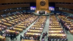 Carmen María Rodríguez reporta desde Ginebra, Suiza