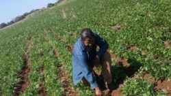 El gobierno quiere “tener bajo sus botas al hombre del campo”, opinan agricultores privados El gobierno quiere “tener bajo sus botas al hombre del campo”, opinan agricultores privados