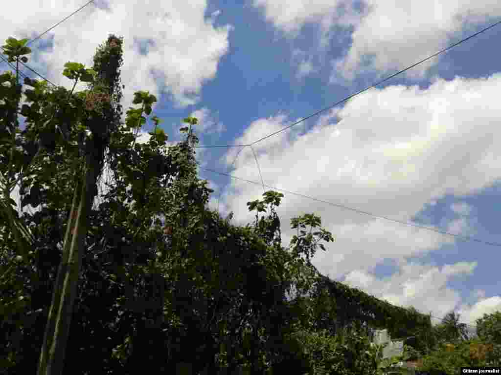 Dos obreros muertos murieron electrocutados en San Francisco de Paula por negligencia de la Empresa de Saneamiento de Aguas de La Habana, según el reportero independiente Steve Maikel Pardo.  