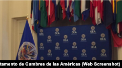 Organización de Estados Americanos (OEA)