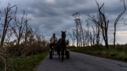 Revivir complejo arrocero en Los Palacios llevará una inversión millonaria Revivir complejo arrocero en Los Palacios llevará una inversión millonaria