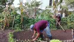 Hoy con Juan Alberto de la Nuez, Vladimir Martin, Ileana Marrero, Elias Amor y Adriano Castañeda Hoy con Juan Alberto de la Nuez, Vladimir Martin, Ileana Marrero, Elias Amor y Adriano Castañeda