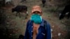 Un campesino vigila las vacas en una finca a las afueras de La Habana. (AP/Ramón Espinosa)