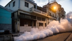 Es muy alto el nivel de infestación de mosquitos en Cuba, mientras que la campaña de fumigación es muy pobre Es muy alto el nivel de infestación de mosquitos en Cuba, mientras que la campaña de fumigación es muy pobre